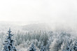 canvas print picture - Winterzeit