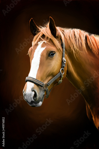 Fototapeta na wymiar painting portrait of a horse