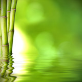 troncos de bambú verde sobre el agua