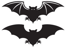 Silhouette Of Bat