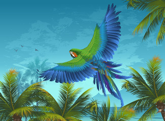 Sticker - Amazon. Tropical background with parrots and palm trees.