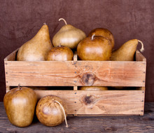 Decorative Gourds In A Crate