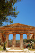 Segesta (Sicilia)  tempio Greco