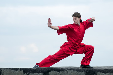 Wall Mural - Wushoo man in red practice martial art