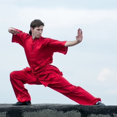 Wall Mural - Wushoo man in red practice martial art