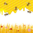 Floral background with honey and bees