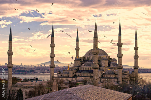 Naklejka na drzwi The Blue Mosque, Istanbul, Turkey.