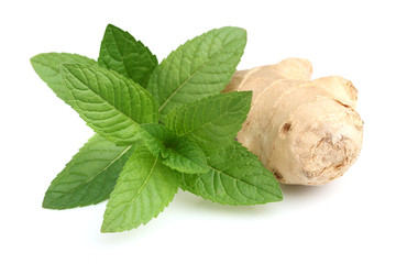 Wall Mural - Mint with ginger in closeup