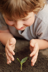 sprout in children hand