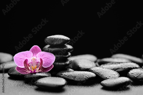 Naklejka samoprzylepna Orchidea