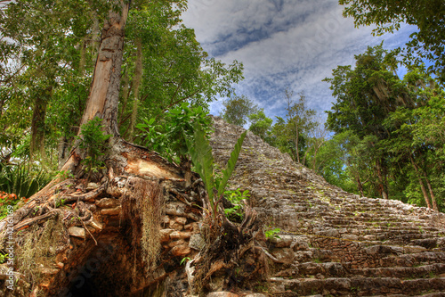 Naklejka samoprzylepna Ruiny Coba Maya - Meksyk
