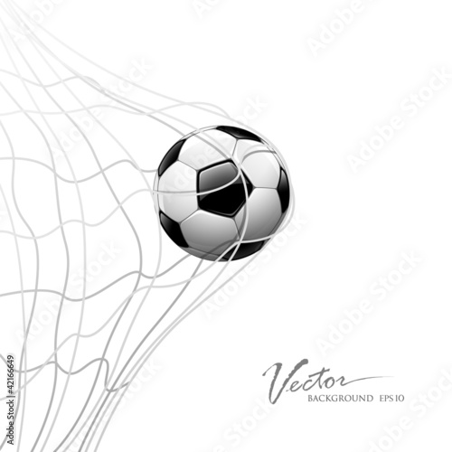 Fotografia Soccer ball in net. isolated on white background, vector