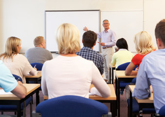 Senior tutor teaching class