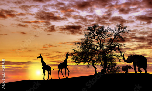 Fototapeta na wymiar African sunset