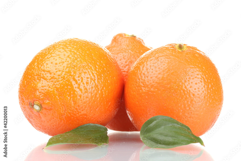 mineola fruits with leafs  isolated on white