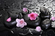 Spa stones with drops and pink sakura flowers