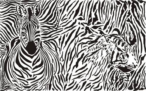 Naklejka dekoracyjna Zebra and tiger and pattern background