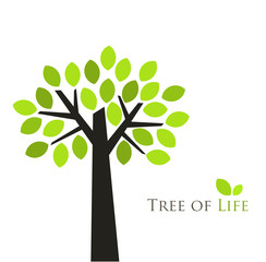 Wall Mural - tree illustration