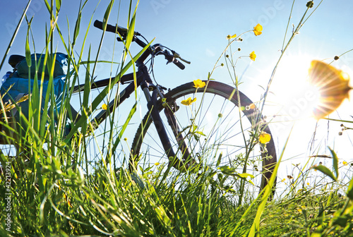 Fotoboard na płycie Trekkingbike przerwa w świetle tylnym