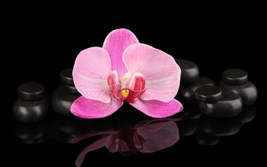 Spa stones with orchid flower isolated on black