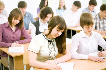 Wall Mural - Young students