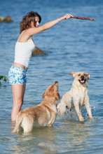 Girl Playing With Dog At The Sea