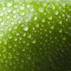  surface green apple with water drops
