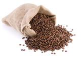 Fototapeta Storczyk - Burlap sack full of coffee beans isolated on white
