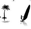 Silhouettes of woman windsurfer at the sunset near the palm tree