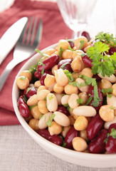 Sticker - healthy beans salad