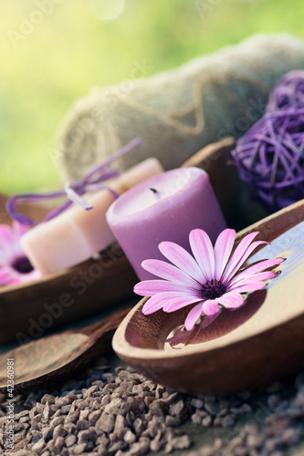 Tapeta ścienna Zestaw fioletowy dayspa natura