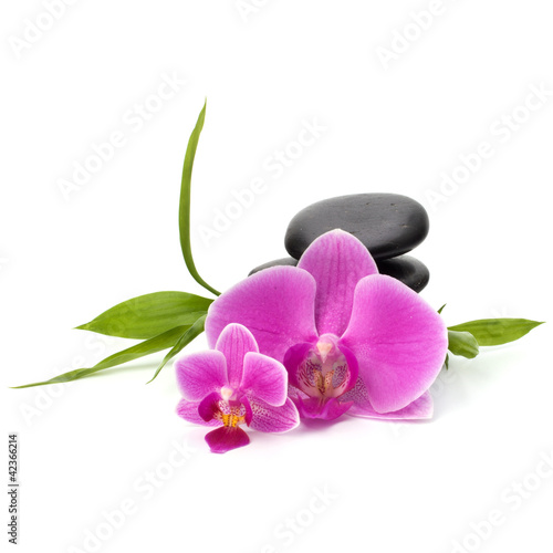 Fototapeta na wymiar ZEN kamyczki równowagi z fioletowymi storczykami