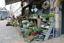 Flower Shop In Gorinchem. Netherlands