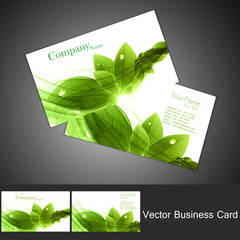 Wall Mural - abstract green colorful business card set vector