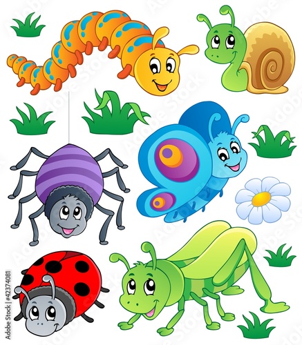 Obraz w ramie Cute bugs collection 1