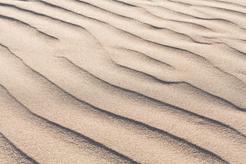 texture and sand background