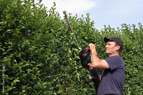Mann Mit Heckenschere Hecke Schneiden Kaufen Sie Dieses Foto