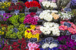 Auswahl an Schnittblumen auf einem Markt in Paris, Frankreich