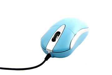 computer mouse