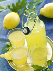 Poster - Lemon liqour (limoncello)