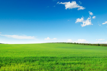 picturesque green field