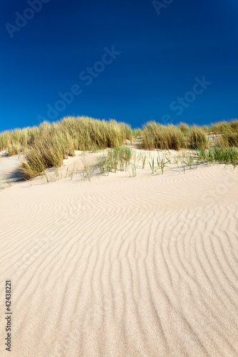 Naklejka dekoracyjna Sand dunes with beach grass in The Netherlands