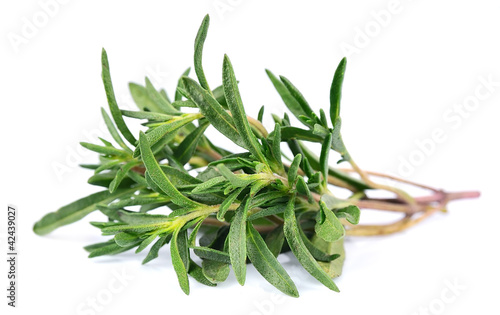 Naklejka - mata magnetyczna na lodówkę Thyme fresh herb