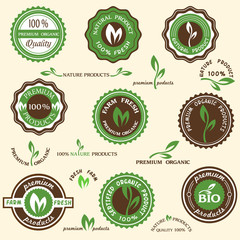 Canvas Print - collection of organic labels and icons