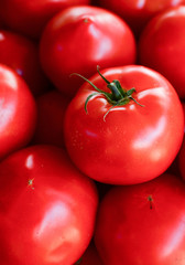 Tomatoes background macro shot