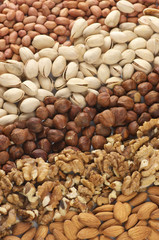Wall Mural - Assorted nuts