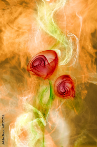 Naklejka dekoracyjna smoke flower on fire background