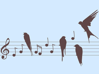 Wall Mural - Vector music notes and birds