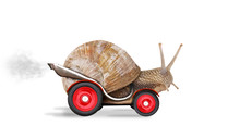 Speedy Snail Like Car Racer. Concept Of Speed And Success