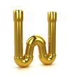 © Steve Young - 3d Gold Tubing Letter W
